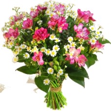 Freesia bouquet with Chamomile